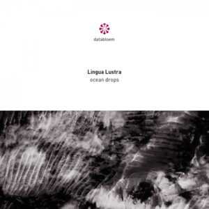Lingua Lustra - Ocean Drops