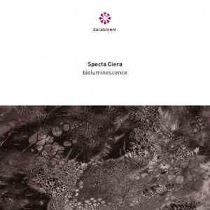 Specta Ciera - Bioluminescence